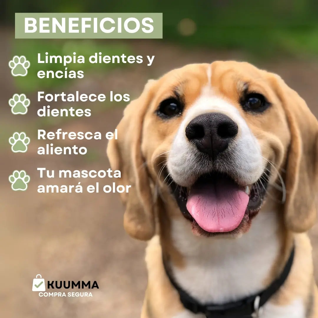 Happy Pets™ | Cuida Su Boca, Cuida Su Vida