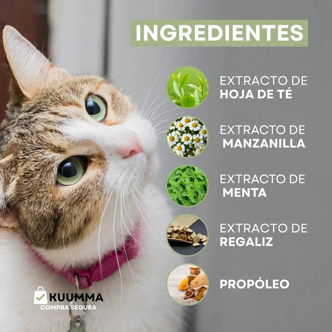 Happy Pets™ | Cuida Su Boca, Cuida Su Vida